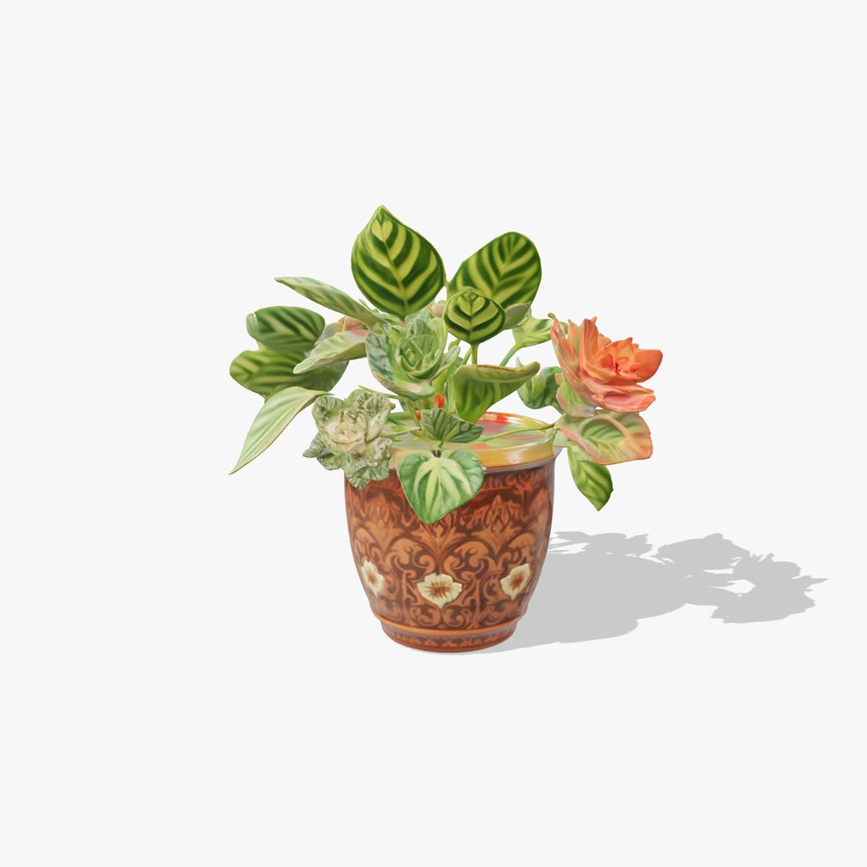 Decorative Potted Plant model pack